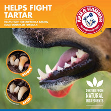 Arm & Hammer for Pets Dental Water Additive for Dogs, Tartar Control | Dog Dental Care Reduces Plaque & Tartar Buildup Without Brushing | Odorless and Flavorless - 1 PACK