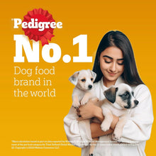 Pedigree Puppy Dry Dog Food, Chicken & Milk, 1 kg, Contains 37 Essential Nutrients, 100% Complete & Balanced Food for Puppies