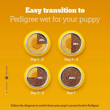 Pedigree Puppy Dry Dog Food, Chicken & Milk, 3 kg, Contains 37 Essential Nutrients, 100% Complete & Balanced Food for Puppies