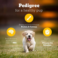 Pedigree Puppy Dry Dog Food, Chicken & Milk, 1 kg, Contains 37 Essential Nutrients, 100% Complete & Balanced Food for Puppies