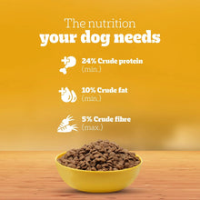 Pedigree Puppy Dry Dog Food, Chicken & Milk, 1 kg, Contains 37 Essential Nutrients, 100% Complete & Balanced Food for Puppies