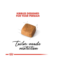 Royal Canin Persian Kitten