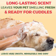 Oh My Dog Ultimate Pet Shampoo Paraben Free - Odour Control Shampoo for Puppies & Dogs
