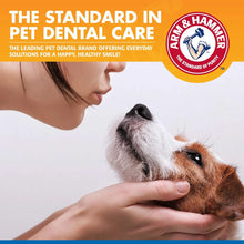 Arm & Hammer for Pets Dental Water Additive for Dogs, Tartar Control | Dog Dental Care Reduces Plaque & Tartar Buildup Without Brushing | Odorless and Flavorless - 1 PACK