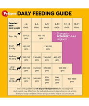 Pedigree Puppy Dry Dog Food Food, Chicken & Milk, 370 g Pack