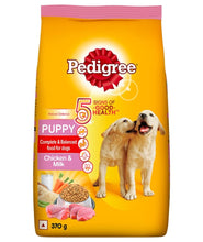 Pedigree Puppy Dry Dog Food Food, Chicken & Milk, 370 g Pack
