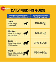 Pedigree Adult Dry Dog Food, Chicken & Vegetable, 1 kg Pack