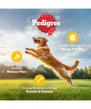 Pedigree Adult Dry Dog Food, Chicken & Vegetables, 3 kg, Contains 37 Essential Nutrients, 100% Complete & Balanced Food for Adult Dogs