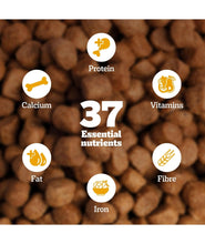 Pedigree Adult Dry Dog Food, Chicken & Vegetables, 3 kg, Contains 37 Essential Nutrients, 100% Complete & Balanced Food for Adult Dogs