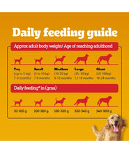 Pedigree Adult Dry Dog Food, Chicken & Vegetables, 3 kg, Contains 37 Essential Nutrients, 100% Complete & Balanced Food for Adult Dogs