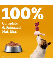 Pedigree Adult Wet Dog Food, Chicken & Liver Chunks in Gravy, 70 g (Pack of 15), Made with Real Meat, 100% Complete & Balanced Meal for Adult Dogs