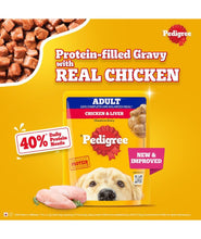 Pedigree Adult Wet Dog Food, Chicken & Liver Chunks in Gravy, 70 g (Pack of 15), Made with Real Meat, 100% Complete & Balanced Meal for Adult Dogs