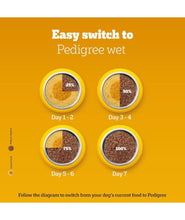 Pedigree Adult Wet Dog Food, Chicken & Liver Chunks in Gravy, 70 g (Pack of 15), Made with Real Meat, 100% Complete & Balanced Meal for Adult Dogs