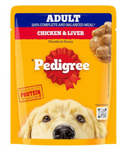 Pedigree Adult Wet Dog Food, Chicken & Liver Chunks in Gravy, 70 g (Pack of 15), Made with Real Meat, 100% Complete & Balanced Meal for Adult Dogs