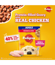 Pedigree Adult Wet Dog Food, Chicken Liver & Vegetables Chunks in Gravy, 70 g (Pack of 30), Made with Real Meat, 100% Complete & Balanced Meal for Adult Dogs