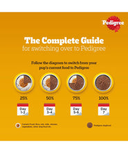 Pedigree Adult Wet Dog Food, Chicken Liver & Vegetables Chunks in Gravy, 70 g (Pack of 30), Made with Real Meat, 100% Complete & Balanced Meal for Adult Dogs