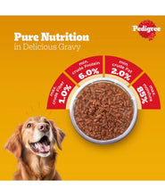 Pedigree Adult Wet Dog Food, Chicken Liver & Vegetables Chunks in Gravy, 70 g (Pack of 30), Made with Real Meat, 100% Complete & Balanced Meal for Adult Dogs