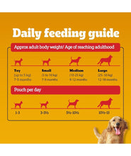Pedigree Adult Wet Dog Food, Chicken Liver & Vegetables Chunks in Gravy, 70 g (Pack of 30), Made with Real Meat, 100% Complete & Balanced Meal for Adult Dogs