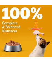 Pedigree Adult Wet Dog Food, Chicken Liver & Vegetables Chunks in Gravy, 70 g (Pack of 30), Made with Real Meat, 100% Complete & Balanced Meal for Adult Dogs