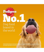 Pedigree Adult Wet Dog Food, Chicken Liver & Vegetables Chunks in Gravy, 70 g (Pack of 30), Made with Real Meat, 100% Complete & Balanced Meal for Adult Dogs