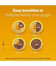 Pedigree Puppy Wet Dog Food, Chicken & Liver Chunks in Gravy, 70 g (Pack of 15), Made with Real Meat, 100% Complete & Balanced Meal for Puppies