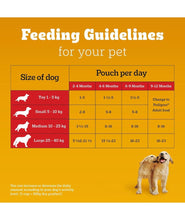 Pedigree Puppy Wet Dog Food, Chicken & Liver Chunks in Gravy, 70 g (Pack of 15), Made with Real Meat, 100% Complete & Balanced Meal for Puppies