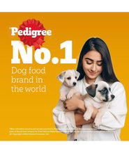 Pedigree Puppy Wet Dog Food, Chicken & Liver Chunks in Gravy, 70 g (Pack of 15), Made with Real Meat, 100% Complete & Balanced Meal for Puppies