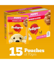 Pedigree Puppy Wet Dog Food, Chicken & Liver Chunks in Gravy, 70 g (Pack of 15), Made with Real Meat, 100% Complete & Balanced Meal for Puppies