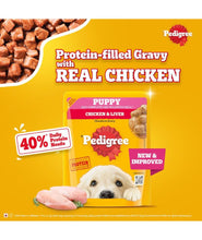 Pedigree Puppy Wet Dog Food, Chicken & Liver Chunks in Gravy, 70 g (Pack of 15), Made with Real Meat, 100% Complete & Balanced Meal for Puppies