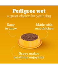Pedigree Puppy Wet Dog Food, Chicken & Liver Chunks in Gravy, 70 g (Pack of 15), Made with Real Meat, 100% Complete & Balanced Meal for Puppies