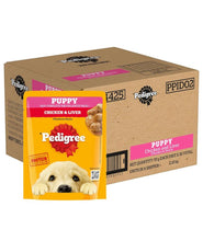 Pedigree Puppy Wet Dog Food, Chicken & Liver Chunks in Gravy, 70 g (Pack of 30), Made with Real Meat, 100% Complete & Balanced Meal for Puppies