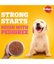 Pedigree Puppy Wet Dog Food, Chicken & Liver Chunks in Gravy, 70 g (Pack of 30), Made with Real Meat, 100% Complete & Balanced Meal for Puppies