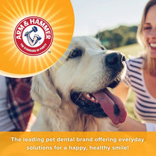 Arm & Hammer Dog Dental Care Tartar Control Dental Spray for Dogs | Reduces Plaque & Tartar Buildup Without Brushing,- Mint Flavor