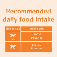Moochie Tasty Wet Cat Food, Mousse with Salmon, Grain Free Cats Gravy Meal, No Artificial Flavours Kitten Food, Non-Vegetarian Cat Foods Pouch for Kittens (85 g X 12 Pouches)