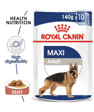 Maxi Adult