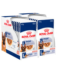 Maxi Adult