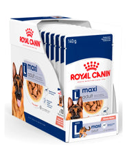 Maxi Adult