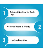 ⁠Purepet dog dry adult food